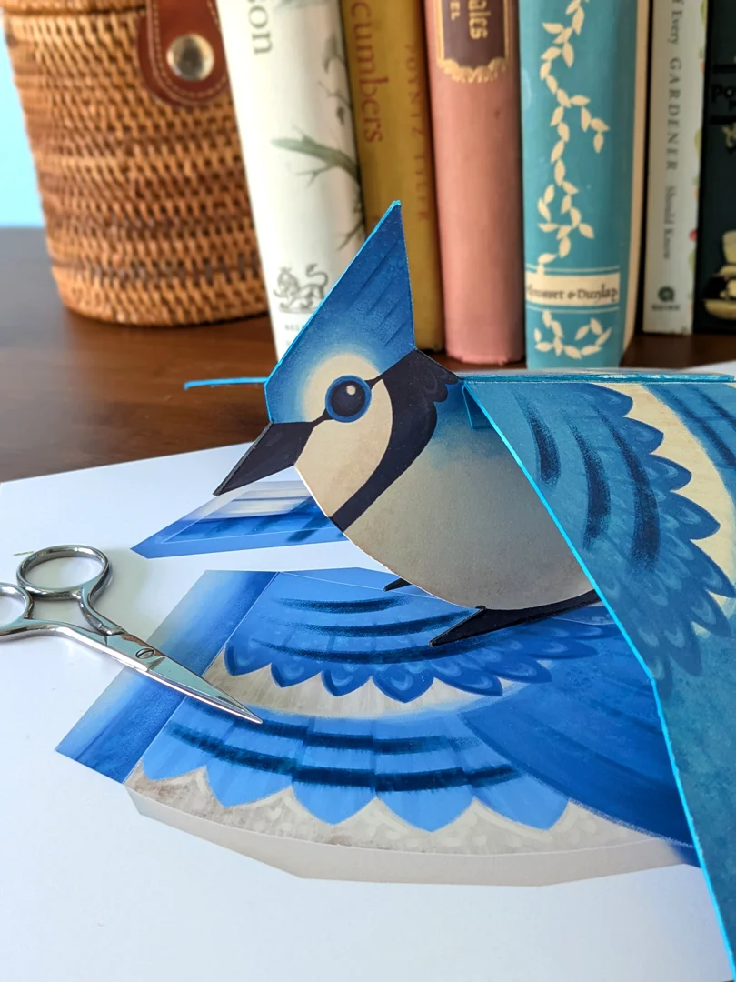 Jay Overview
