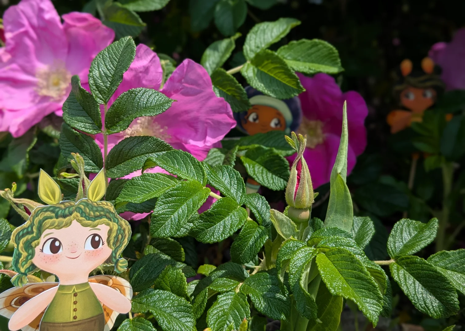 Fairy Beach Adventure 2