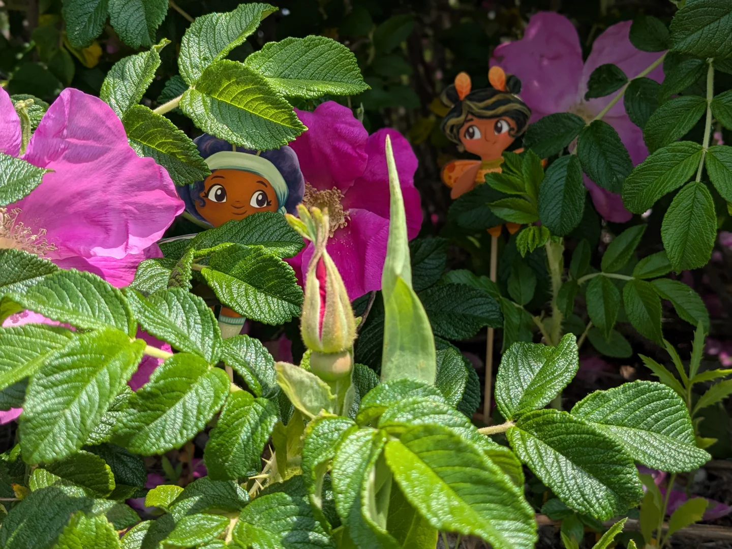 Fairy Beach Adventure 3